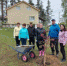 Будут и в парке яблони цвести - Суоярвское городское поселение